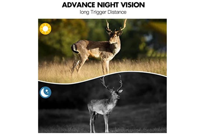 Excellent Night Vision-Trail Camera