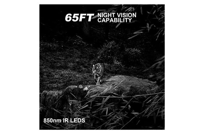 Mini Trail Camera-Excellent Night Vision 