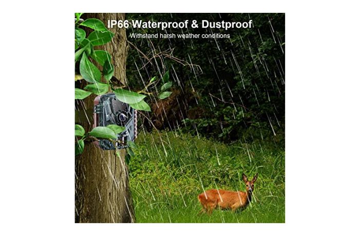 Mini Trail Camera-IP66 Waterproof and Dustproof 
