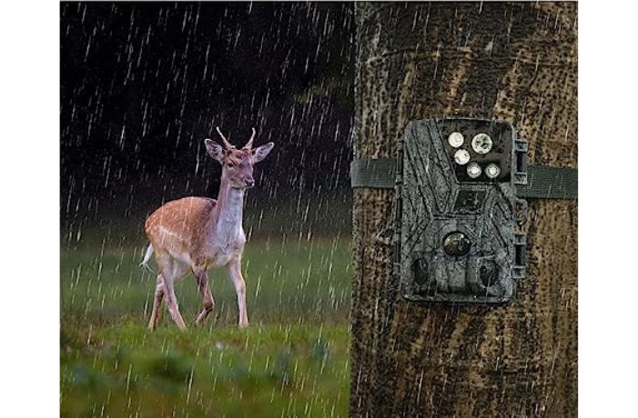 Trail Camera-IP66 Waterproof & Multi-function